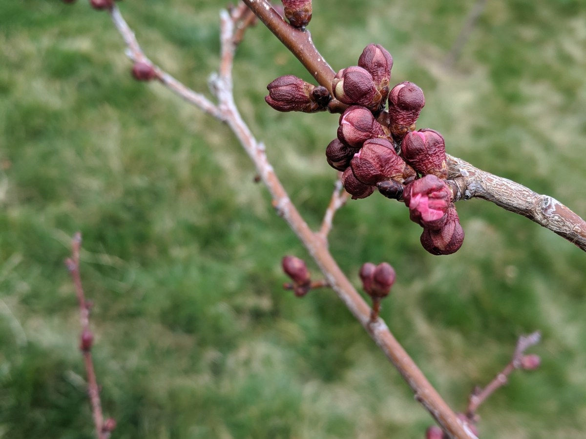 the wait is killing&nbsp;me