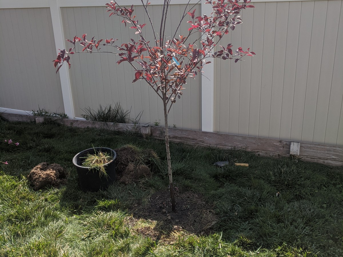 dig a hole, fill it&nbsp;up