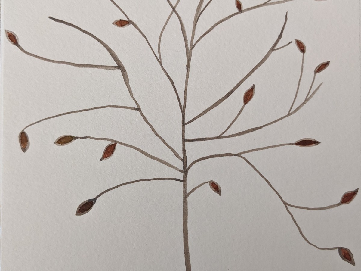 red leaf plum&nbsp;tree